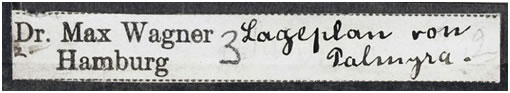 Dr. Max Wagner